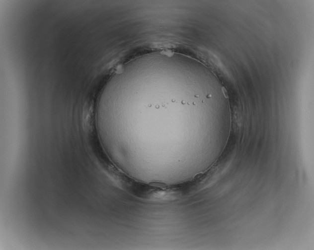 X0000111820364200908061140