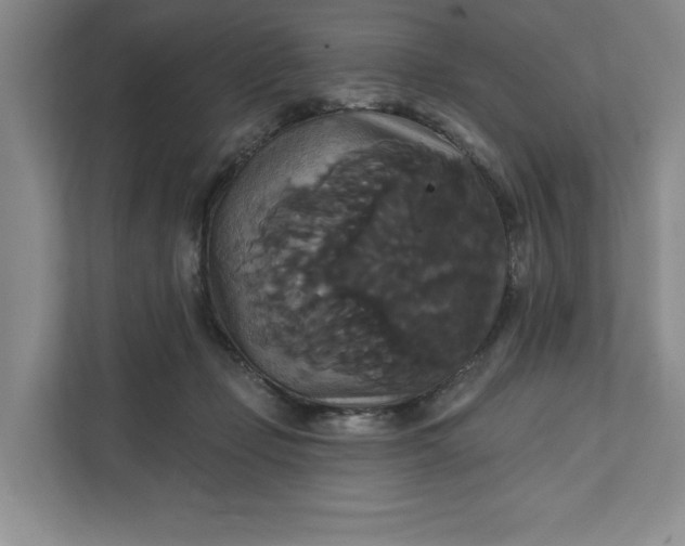 X0000111820365200908061140