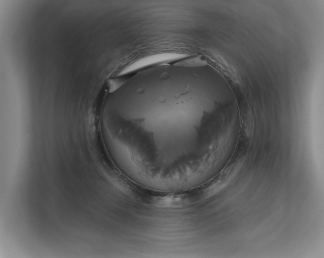 X0000111820366200908061140