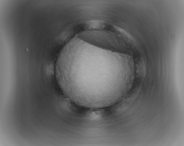 X0000111820368200908061140