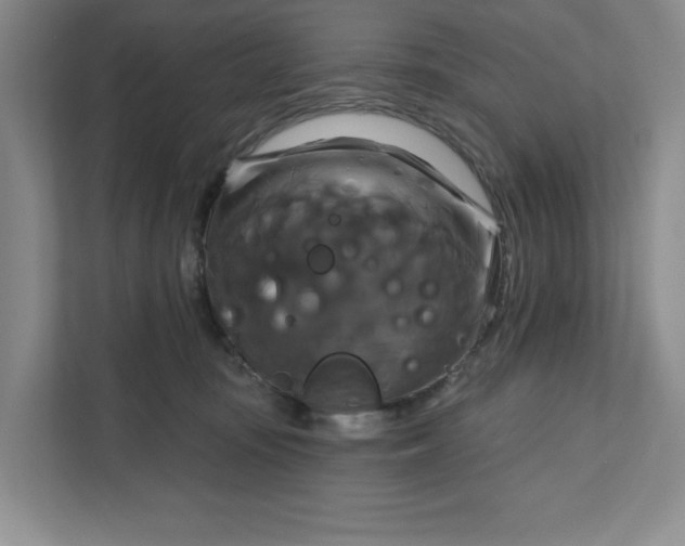 X0000111820371200908061140