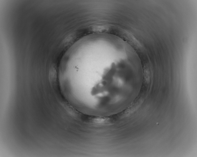 X0000111820375200908061140