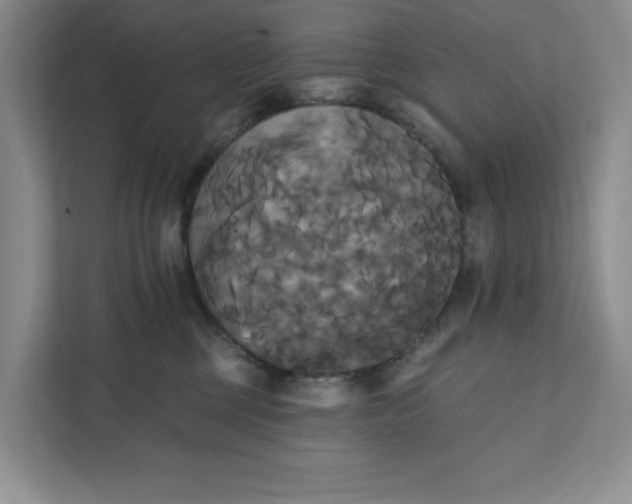 X0000111820377200908061140