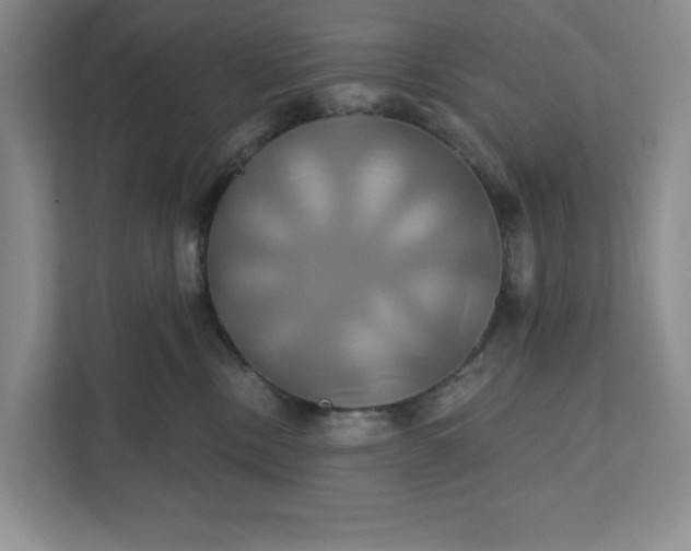 X0000111820378200908061140