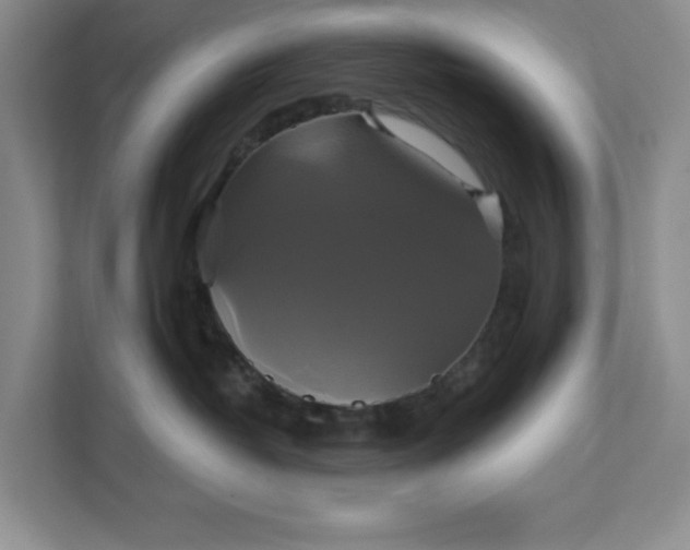 X0000111820382200908061140