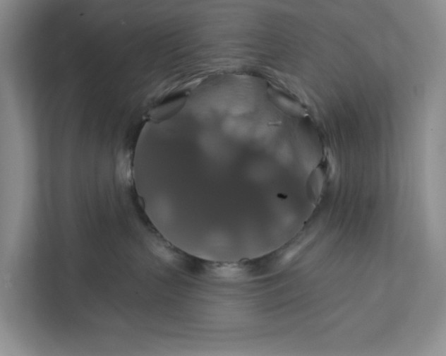 X0000111820383200908061140