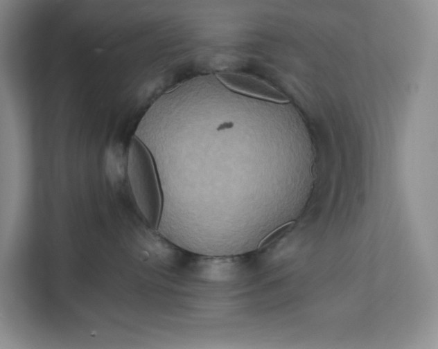 X0000111820384200908061140