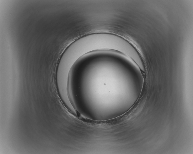 X0000111820385200908061140