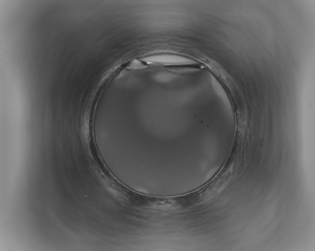 X0000111820386200908061140