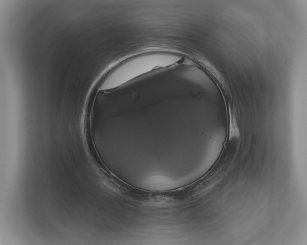 X0000111820387200908061140