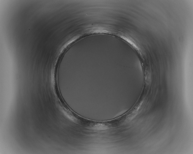 X0000111820390200908061140