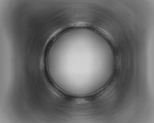 X0000111820392200908061140