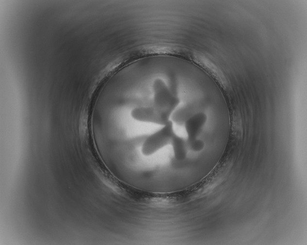 X0000111820394200908061139