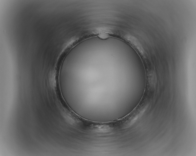 X0000111820395200908061139