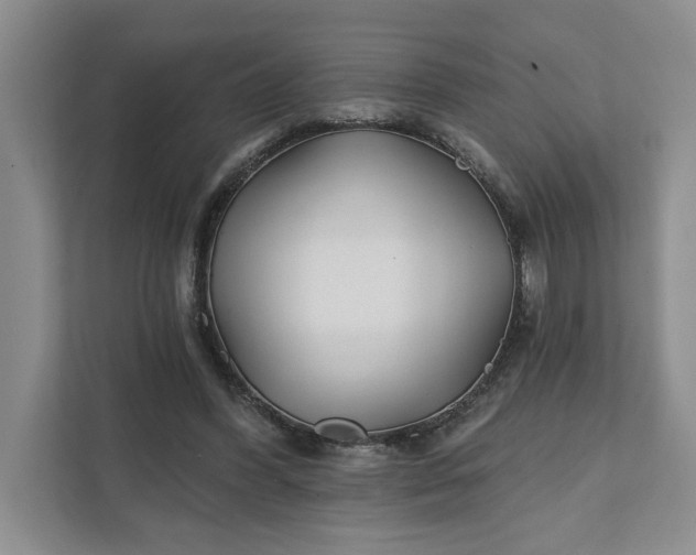 X0000111820396200908061139