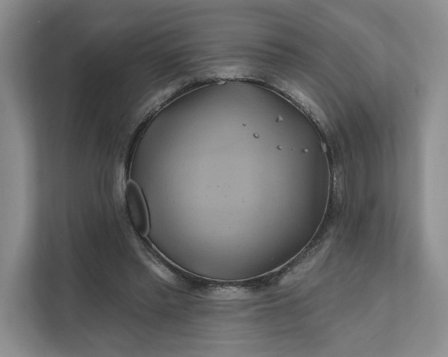 X0000111820397200908061139