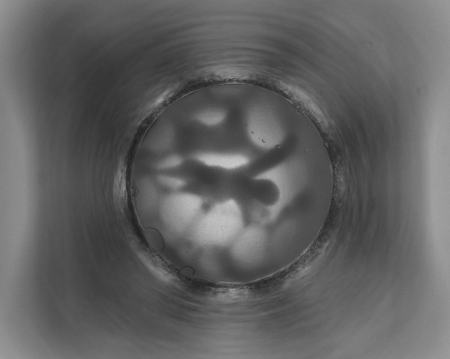 X0000111820398200908061139