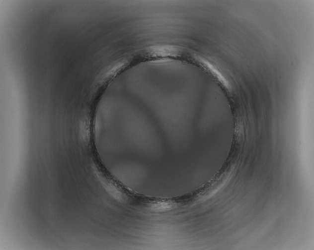 X0000111820402200908061139