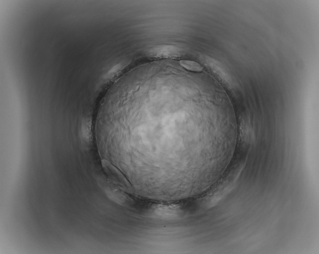 X0000111820403200908061139