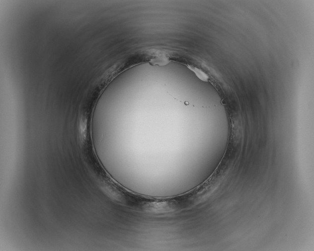 X0000111820406200908061139