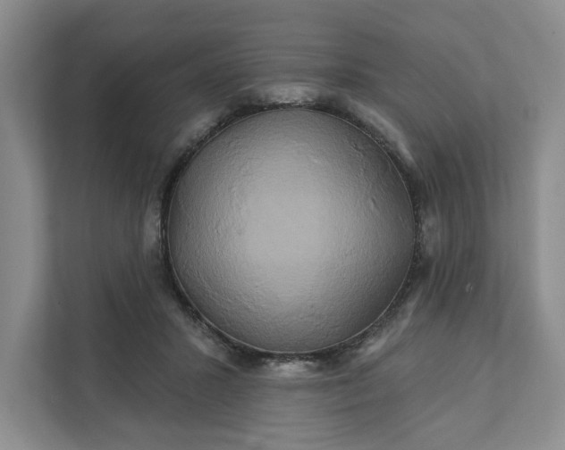 X0000111820407200908061139