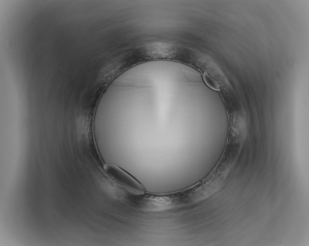 X0000111820409200908061139