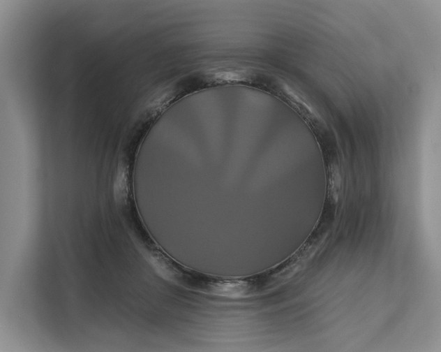 X0000111820410200908061139