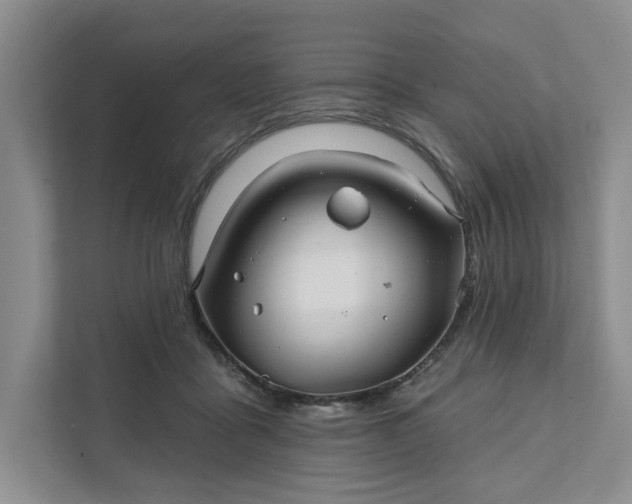 X0000111820411200908061139