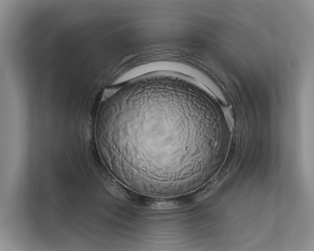 X0000111820413200908061139