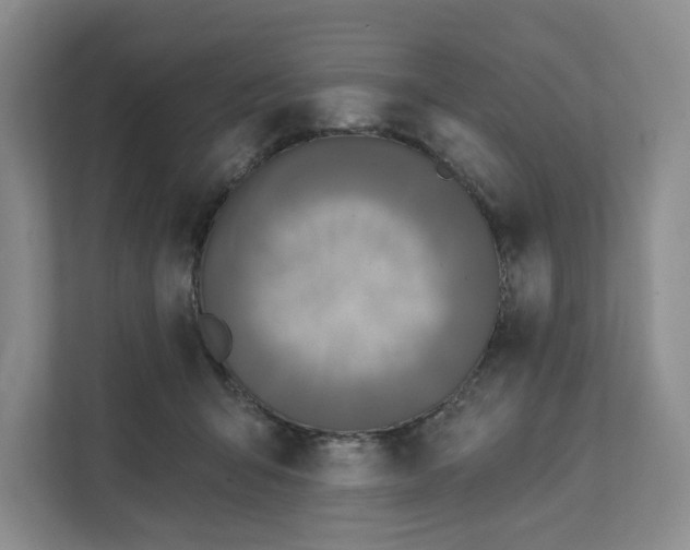 X0000111820415200908061139