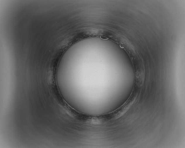 X0000111820416200908061139