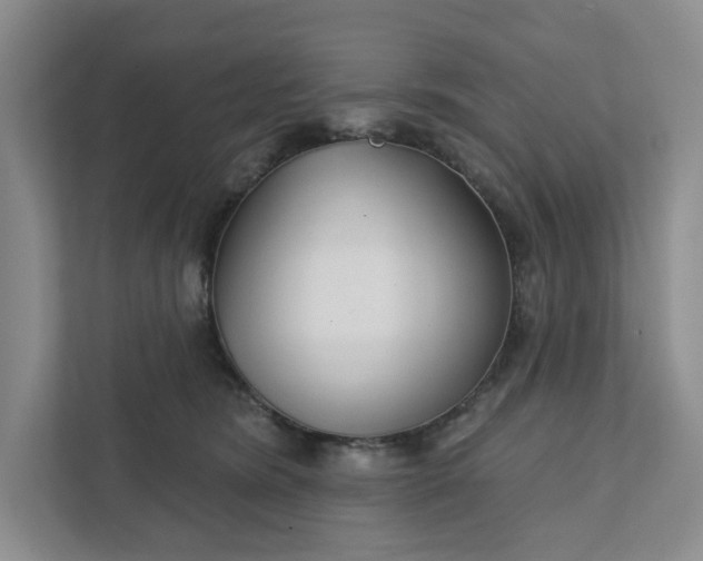 X0000111820420200908061139