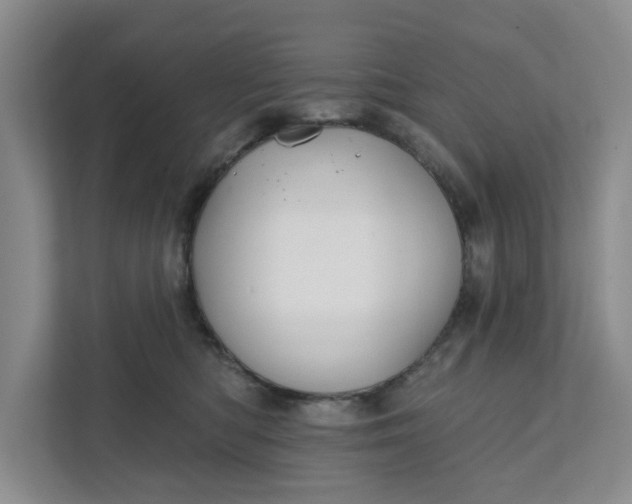 X0000111820422200908061139