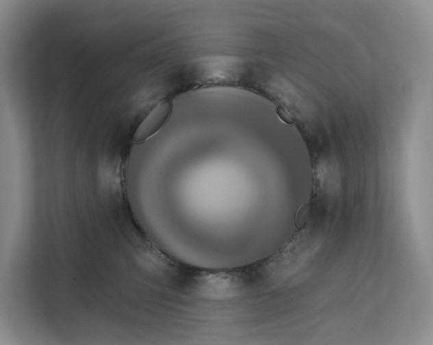 X0000111820423200908061139