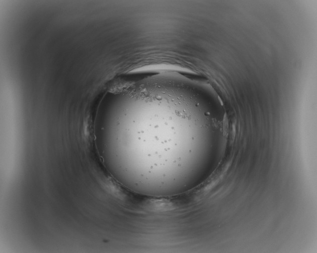 X0000111820424200908061139