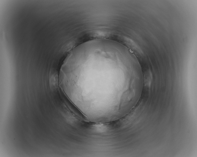 X0000111820425200908061139