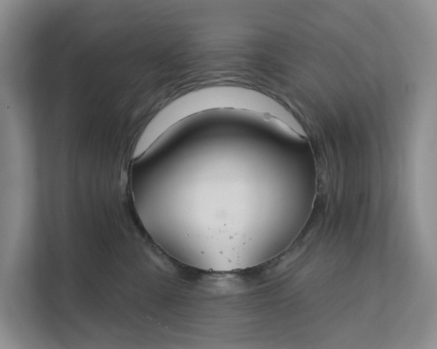 X0000111820427200908061139