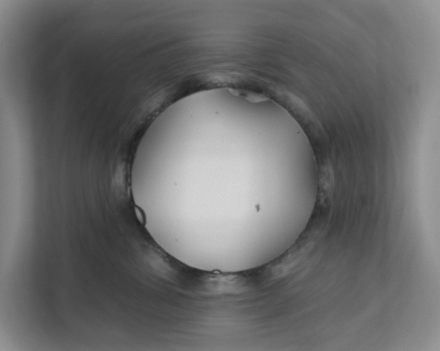 X0000111820428200908061139