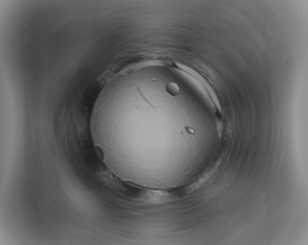 X0000111820429200908061139