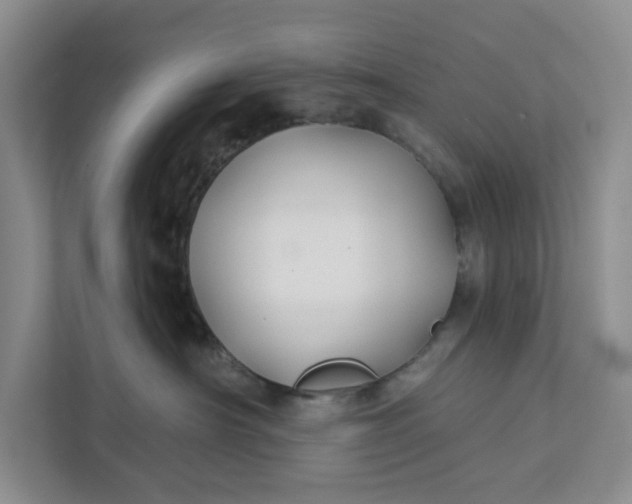 X0000111820430200908061139