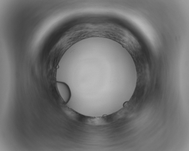 X0000111820431200908061139