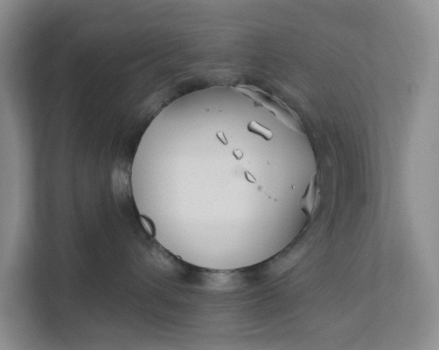 X0000111820432200908061139