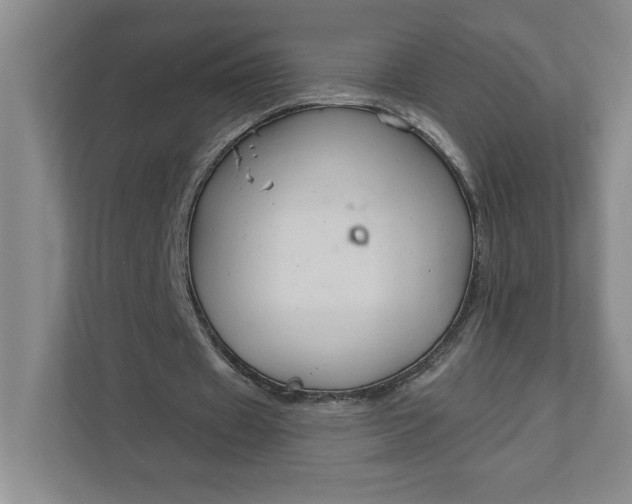 X0000111820433200908061138