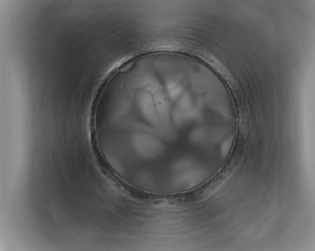 X0000111820434200908061138