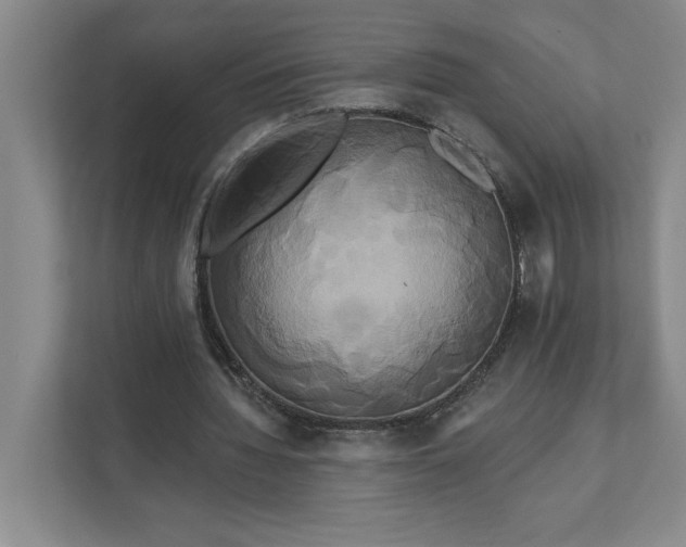 X0000111820436200908061138