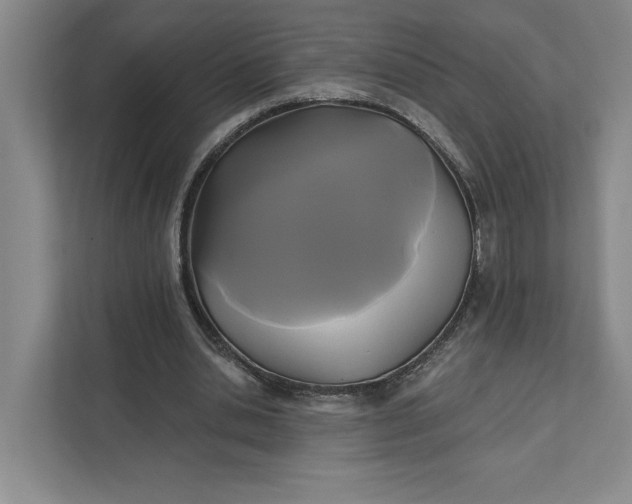 X0000111820438200908061138