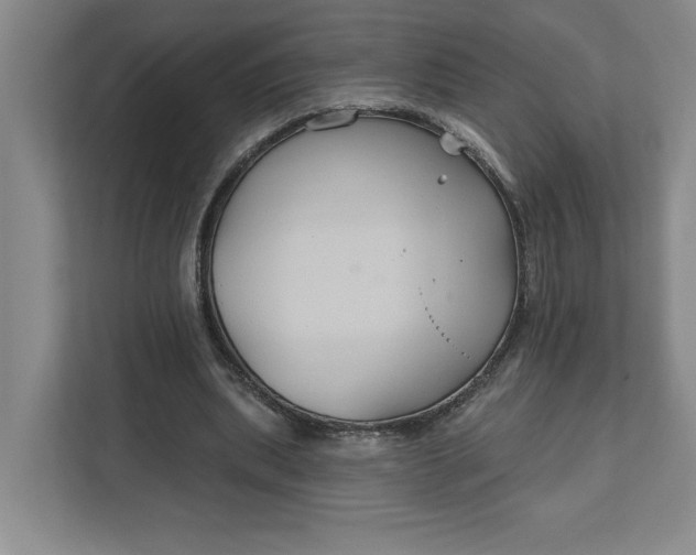 X0000111820439200908061138