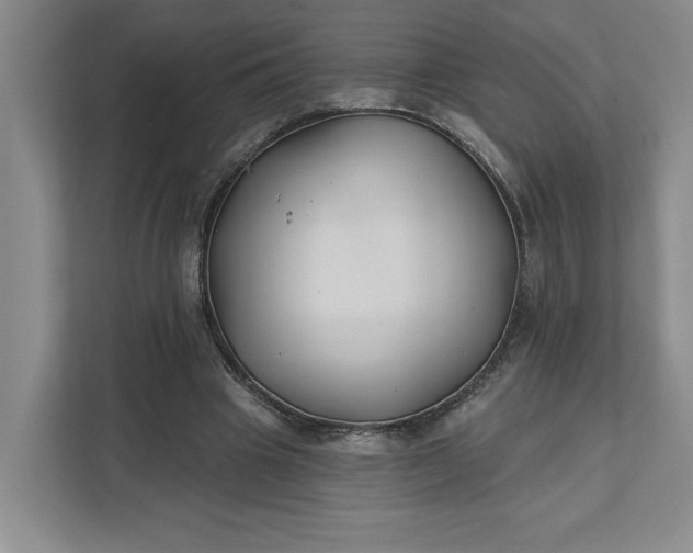 X0000111820441200908061138