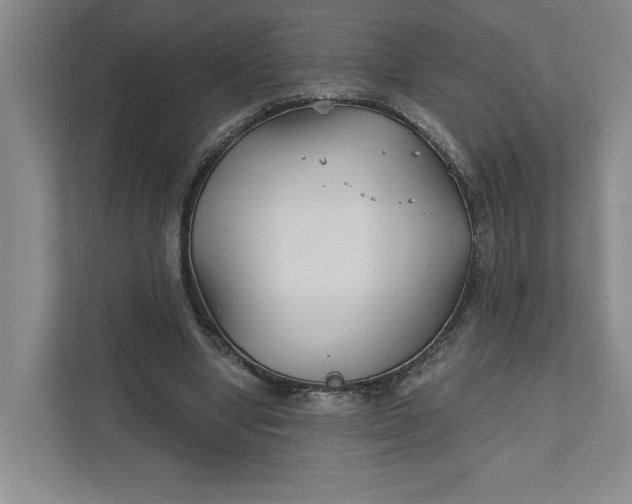 X0000111820442200908061138