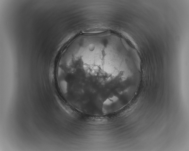 X0000111820443200908061139